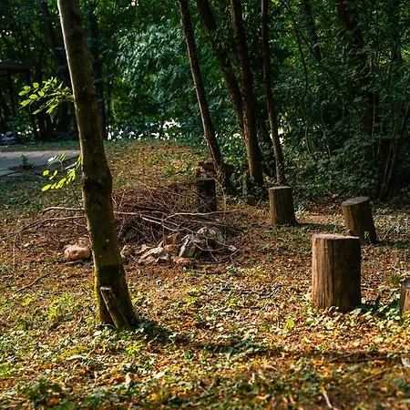 Unique Forest ブレッド